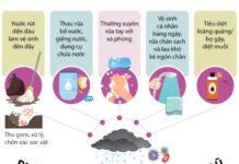 PHÒNG CHỐNG DỊCH BỆNH SAU BÃO LŨ