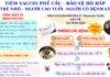 TIÊM VẮC XIN PHẾ CẦU BẢO VỆ HÔ HẤP CHO CẢ GIA ĐÌNH BẠN TẠI BỆNH VIỆN ĐA KHOA THỌ XUÂN!