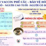 PHẾ CẦU