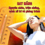 CẢNH BÁO SAY NẮNG – HIỂU ĐỂ PHÒNG VÀ XỬ TRÍ ĐÚNG CÁCH!
