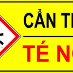 CẢNH BÁO TAI NẠN DO TRÈO CÂY MÙA THU HOẠCH NHÃN