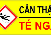 CẢNH BÁO TAI NẠN DO TRÈO CÂY MÙA THU HOẠCH NHÃN