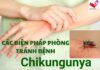BỘ Y TẾ KHUYẾN CÁO CÁC BIỆN PHÁP PHÒNG CHỐNG DỊCH BỆNH CHIKUNGUNYA